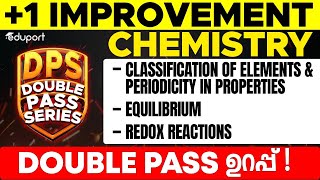 Plus One Improvement Chemistry  Double Pass Series  Classification Equilibrium Redox [upl. by Gustavus]