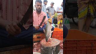 Amazing Great Delicious Pangas Fish Cutting Techniques  Fish Cutting Skills [upl. by Ayanaj]