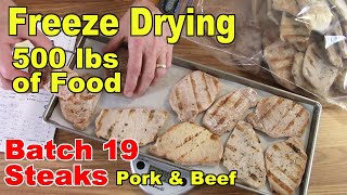 Freeze Drying Your First 500 lbs of Food  Batch 19  Steak Pork Loin amp Beef [upl. by Mingche]