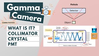 Gamma camera  Components amp Function l Visual explanation [upl. by Oilerua326]