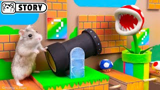 🍄 Hamster Escapes the Super Mario Maze 20 🍄 Homura Ham [upl. by Aipotu]