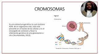 Trabajo Biologia Genetica [upl. by Nilak]