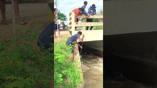 Village Boy Using Scoop Net and catch fish Ep42 Nimitt Fishing video short fishing outdoors [upl. by Matthiew]