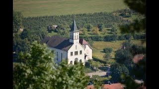 E1 1015 von Singen Hohentwiel nach Güttlingen [upl. by Loralyn417]