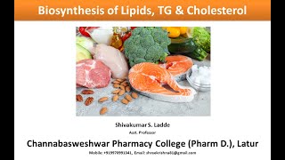 27Biosynthesis of Triglycerides Phospholipids and Cholesterol [upl. by Helge]