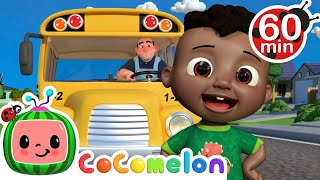 Wheels on the Bus  More  CoComelon  Its Cody Time  CoComelon Nursery Rhymes [upl. by Aivart]