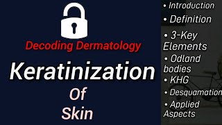 Keratinization [upl. by Sherourd]