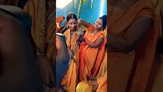 Haldi ka geet song music shaadi Vivahweddingvideo haldigeet trendingshorts viralshort viral [upl. by Aliekahs]