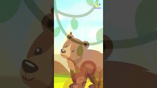 Safari Song kidssong animals kidsvideo lambtales nurseryrhymes [upl. by Judon]