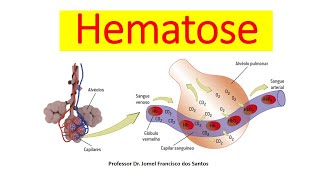 ENTENDA TUDO SOBRE A HEMATOSE [upl. by Aniweta644]