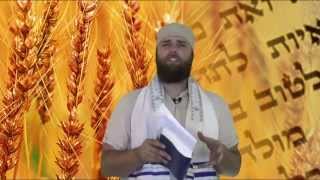 Shavuot Weeks  Pentecost quotFeasts of YaHuWaH Series [upl. by Moshe780]