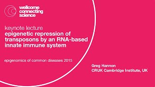 Epigenetic Repression of Transposons by an RNAbased Innate Immune System  Greg Hannon [upl. by Boorman]