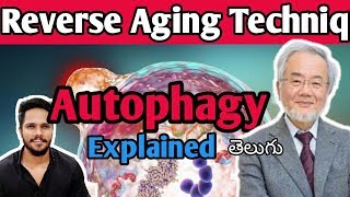 Anti Aging Techniq Autophagy explained in telugu  Telugu LYF [upl. by Hanoy]