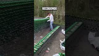 Los chinos construyen casas con botellas vacías😮 shortsvideo [upl. by Mahda222]