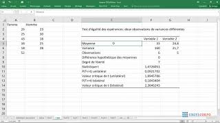 60 Comment faire un t test dans Microsoft Excel [upl. by Benjamen640]