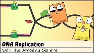 DNA Replication Updated [upl. by Gurtner468]