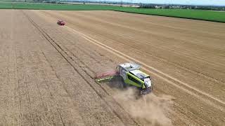 MOISSON DE blé 2024 EPISODE 3 AVEC UNE batteuse CLAAS LEXION 7700 LA BARRE DE COUPE 1080 [upl. by Jolanta]