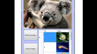 Part  2 how to save picturebox image in c SqlCe table [upl. by Fredela]