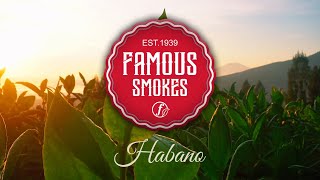 Famous Smokes Habano [upl. by Eadnus]