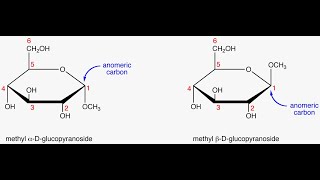 Definition of Anomers and Examples [upl. by Anelhtak498]