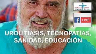 UROLITIASIS TECNOPATÍAS SANIDAD EDUCACIÓN [upl. by Samala]