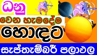 ලග්න පලාඵල  Lagna palapala  Monthly predictions  2024 September astrology predictions [upl. by Hayyim]