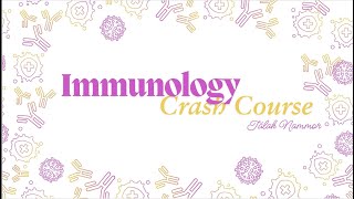 Immunology Crash Course post midterm  Talah Nammor  POD 231 [upl. by Jonina]