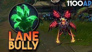 LANE BULLY KAYLE [upl. by Allets]