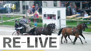 RELIVE  Dressage Competition Part 2 I FEI Driving European Championship Four in Hand [upl. by Eojyllib]