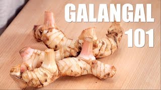 Ultimate Guide to GALANGAL  Hot Thai Kitchen [upl. by Gadmann]