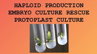 Haploid Production  Embryo culture Rescue  Protoplast culture and its Isolation  Amitian Notes [upl. by Yirinec782]