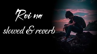 Roi na je yaad Meri Aayi ve  new sad song2024 slowedampreverb [upl. by Nael]