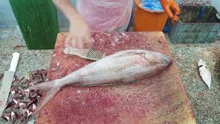 Weighted Ruby Fish Cutting Skills Asian Ruby Fish Marketing with Amazing Filleting Skills [upl. by Laith]