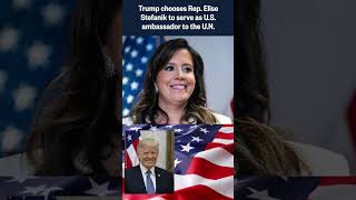 President elect Trump chooses Representative Elise Stefanik to serve as US ambassador to UN shorts [upl. by Eissirk]