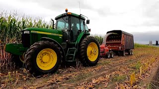 Chopping Corn Silage On A Wisconsin Dairy Farm Part One Harvest Season 2023 [upl. by Aerdnwahs]