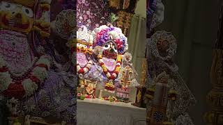 Today Sringar Darshan Aroti iskcon temple ytshorts love viralvideo karunamay [upl. by Bashemeth]