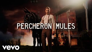 Tyler Childers  Percheron Mules Lyric Video [upl. by Rosamund]