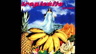 Tropicália 30 anos  full album [upl. by Ateuqal867]