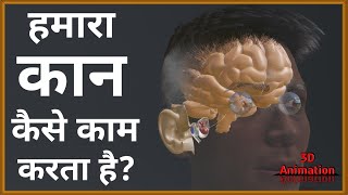 How does our Ear work  हमारा कान कैसे काम करता है  3D Animation 🔥🔥🔥 [upl. by Ymaj509]