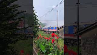 Beauty of Upcountry Railway 🇱🇰 [upl. by Enahsed]