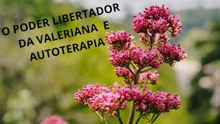 Conheça o PODER LINERTADOR da Valeriana e a AUTOTERAPIA valeriana ansiedade [upl. by Noimad674]