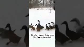 Sivasta Havalar Soğuyunca Max Gezme Hevesimiz [upl. by Imer]