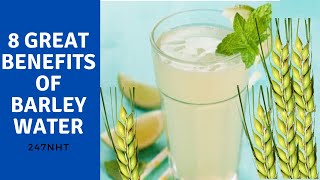 8 Great Benefits Of Barley Water  What are the health benefits of barley water  247nht [upl. by Giulio]