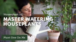 Houseplant 101 How to Water Houseplants Properly — Ep 120 [upl. by Noreik]