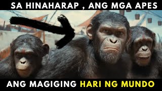 Sa taong 2032 Posibleng Dahil Sa Virus Magiging Mas Matalino ang mga Unggoy kaysa sa tao [upl. by Cowey639]