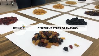 Raisins SA  Different types of raisins [upl. by Aivonas]