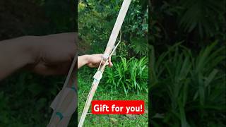 Would you take bows and arrows as a gift shorts bow arrow [upl. by Waltner]