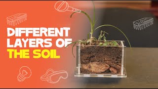 Soil Layers And Horizons  Soil Science [upl. by Lesnah]