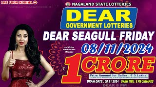 DEAR SEAGULL FRIDAY WEEKLY DEAR 8 PM ONWARDS DRAW DATE 08112024 NAGALAND STATE LOTTERIES [upl. by Aisela]