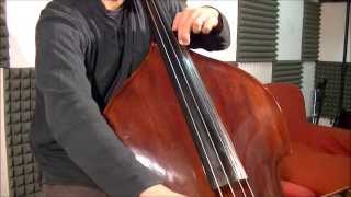 Canon in D  Double Bass [upl. by Baptiste]